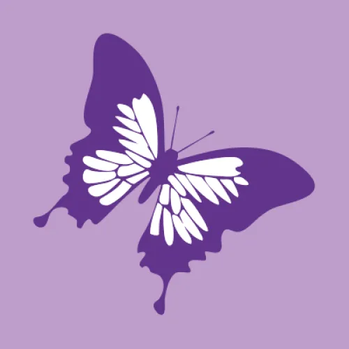 Florista Botão D’Ouro