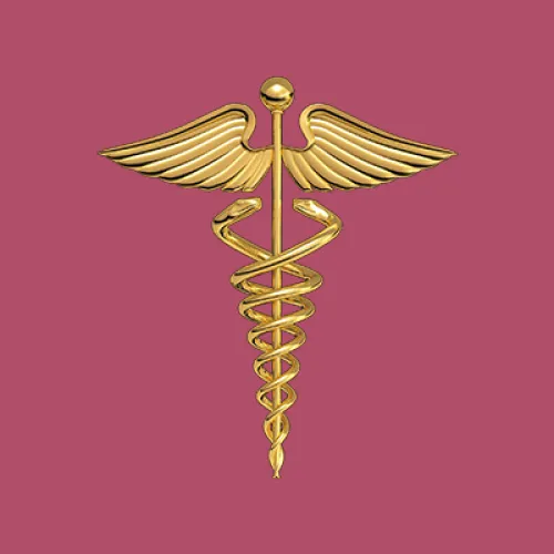 Patrícia Almeida - Gabinete de Contabilidade e Serviços